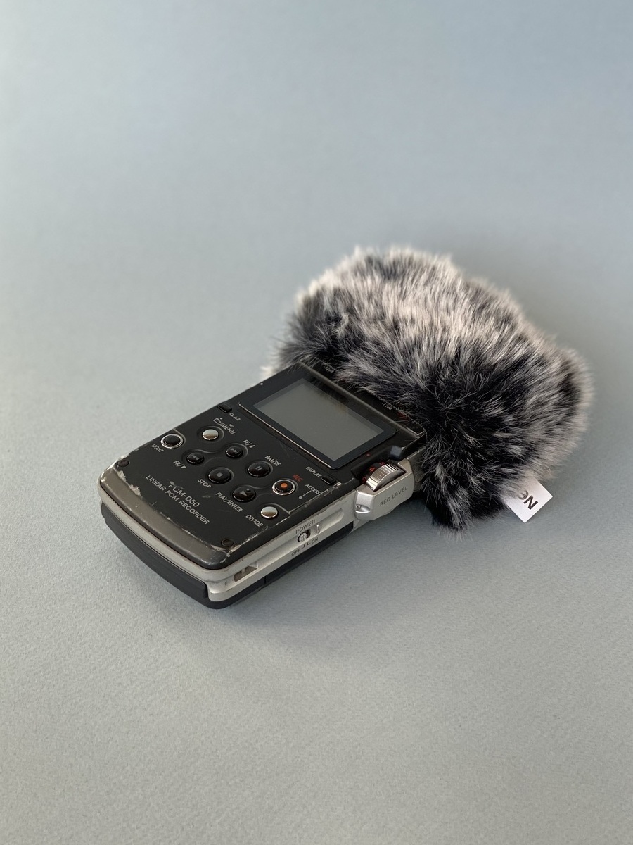 <span style="font-weight: bold;">Sony PCM D-50</span><br>